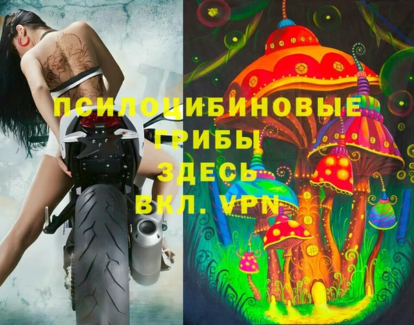 индика Абинск
