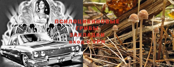 индика Абинск