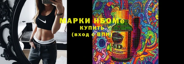индика Абинск