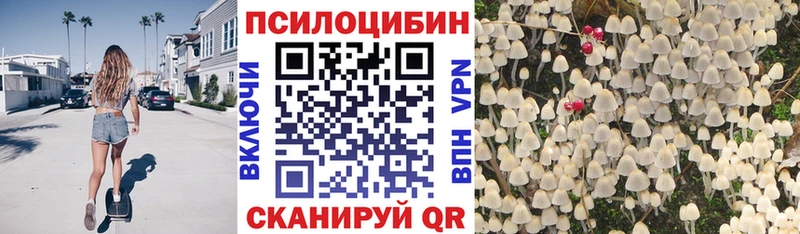 ссылка на мегу зеркало  Касимов  Псилоцибиновые грибы MAGIC MUSHROOMS 